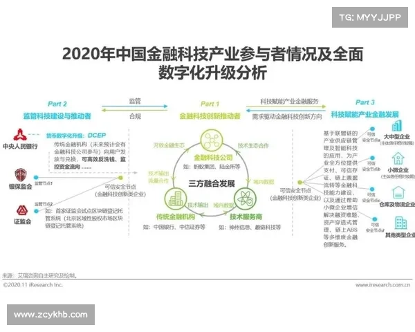 EDG战队现役队员荣耀历程剖析与未来发展方向展望