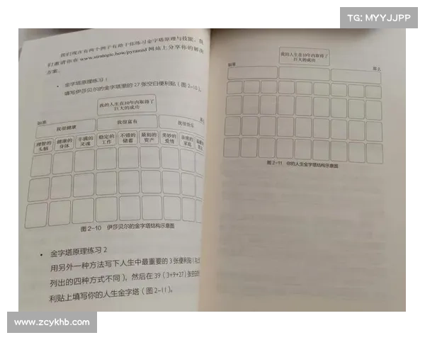 隐匿洞穴行动中的战略思维与技术应用研究