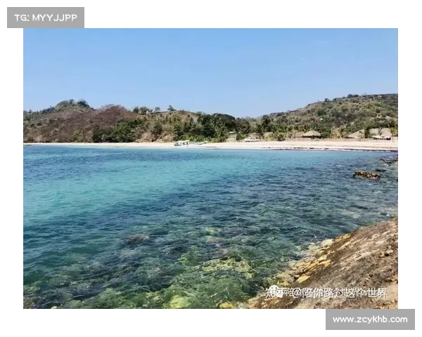 摩尔庄园奇幻旅程必去神秘岛屿的五大理由带你发现无限惊喜