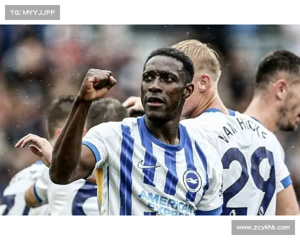 揭开以维尔贝克黑贝称号之谜探寻球场内外的荣耀与误解